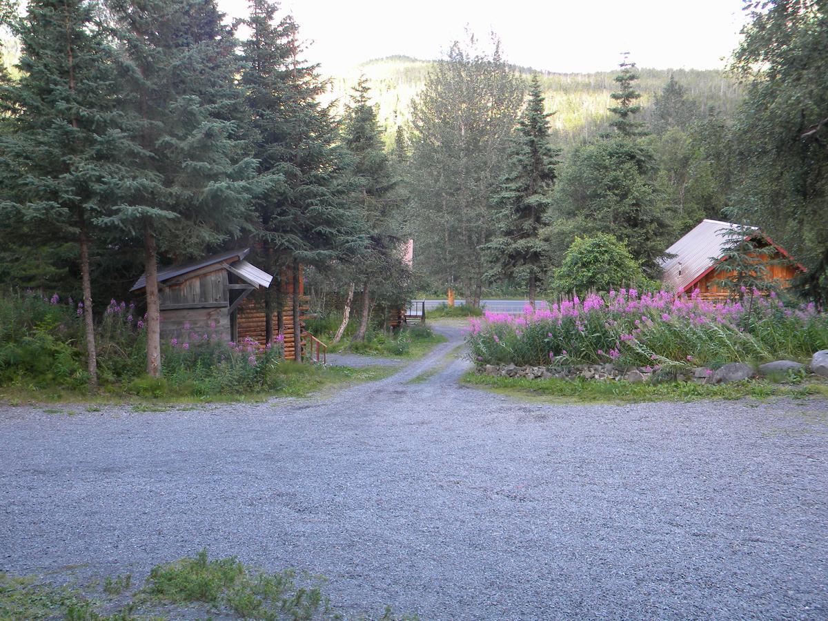 Midnight Sun Log Cabins Moose Pass Экстерьер фото