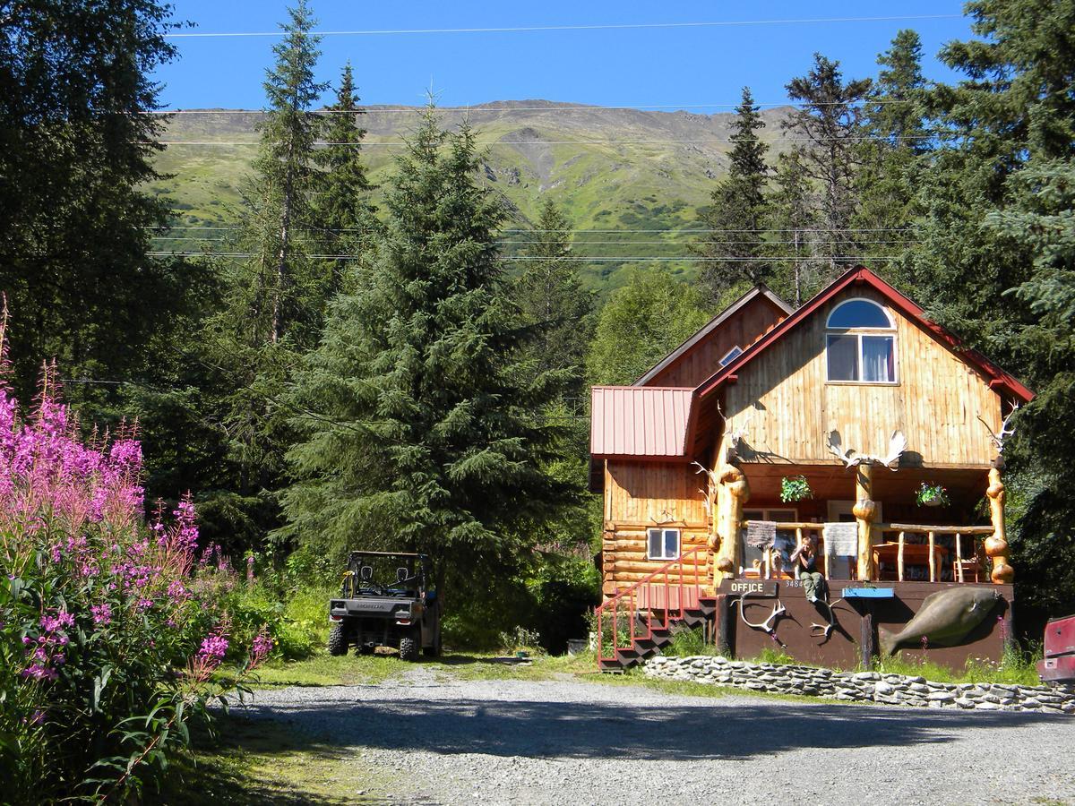 Midnight Sun Log Cabins Moose Pass Экстерьер фото