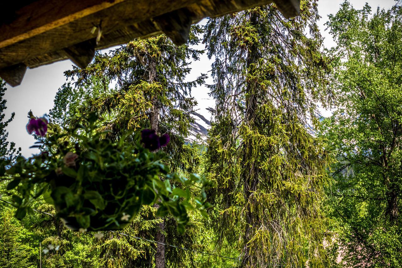 Midnight Sun Log Cabins Moose Pass Экстерьер фото