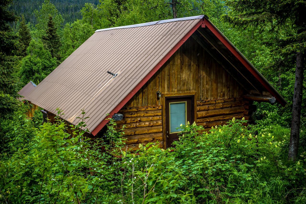 Midnight Sun Log Cabins Moose Pass Экстерьер фото