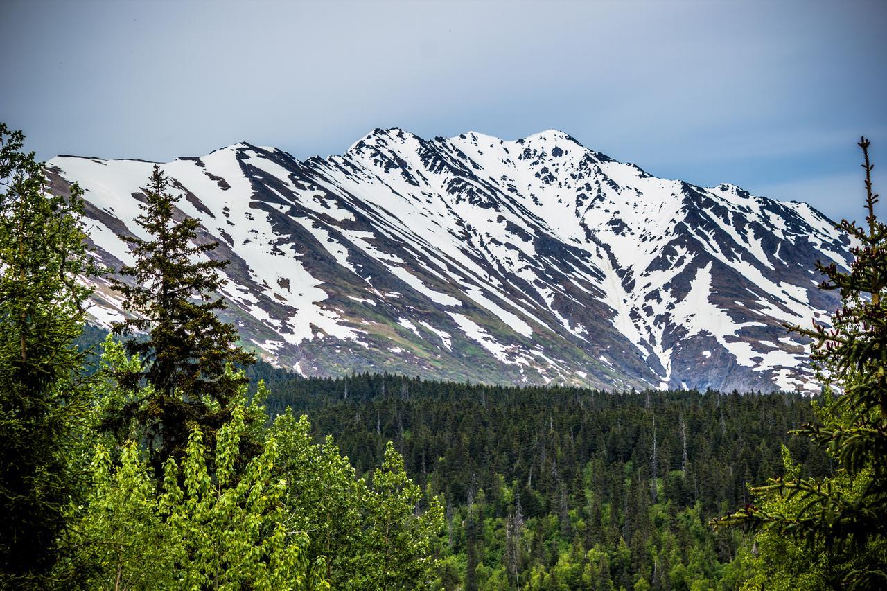 Midnight Sun Log Cabins Moose Pass Экстерьер фото