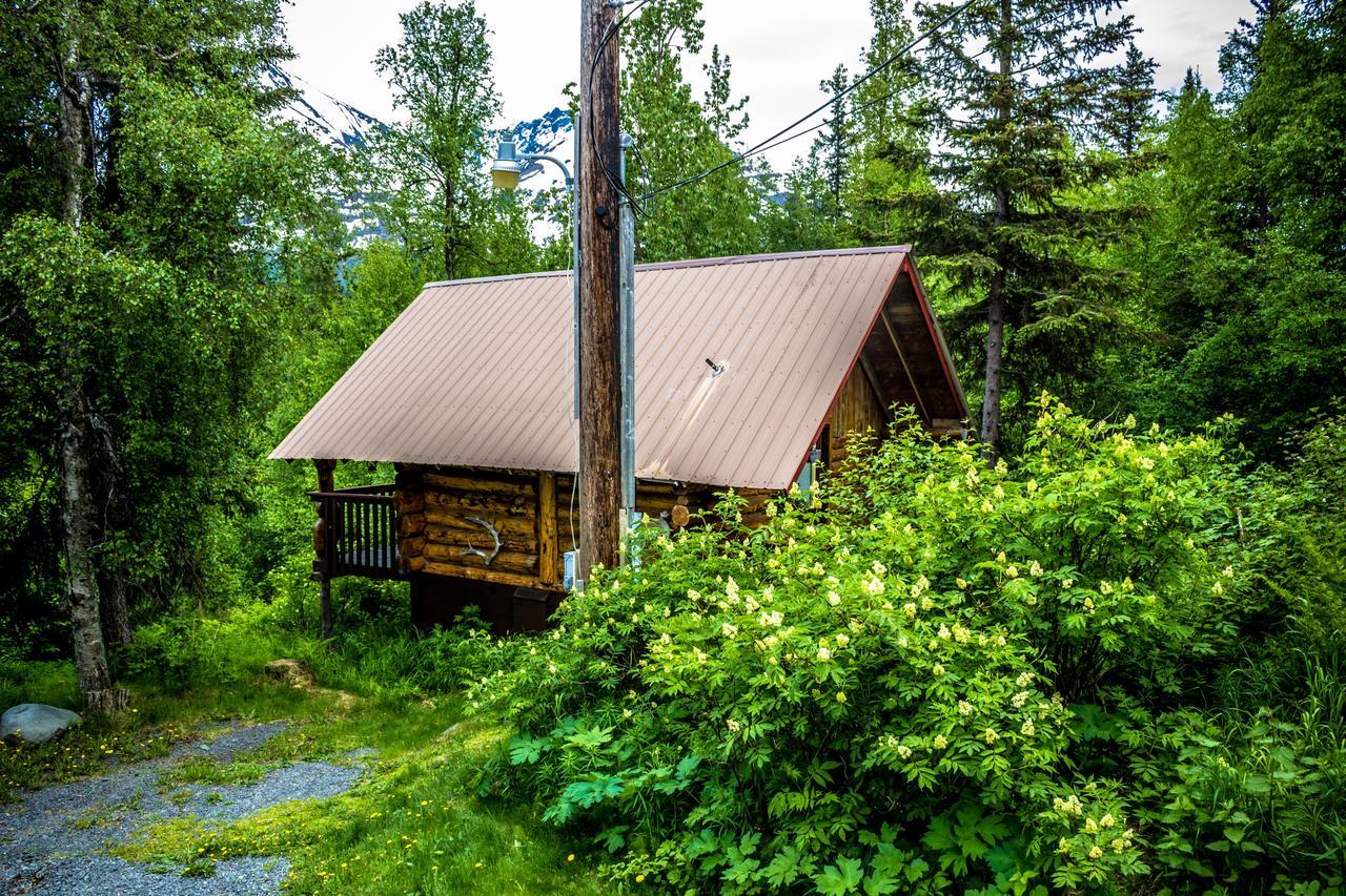 Midnight Sun Log Cabins Moose Pass Экстерьер фото