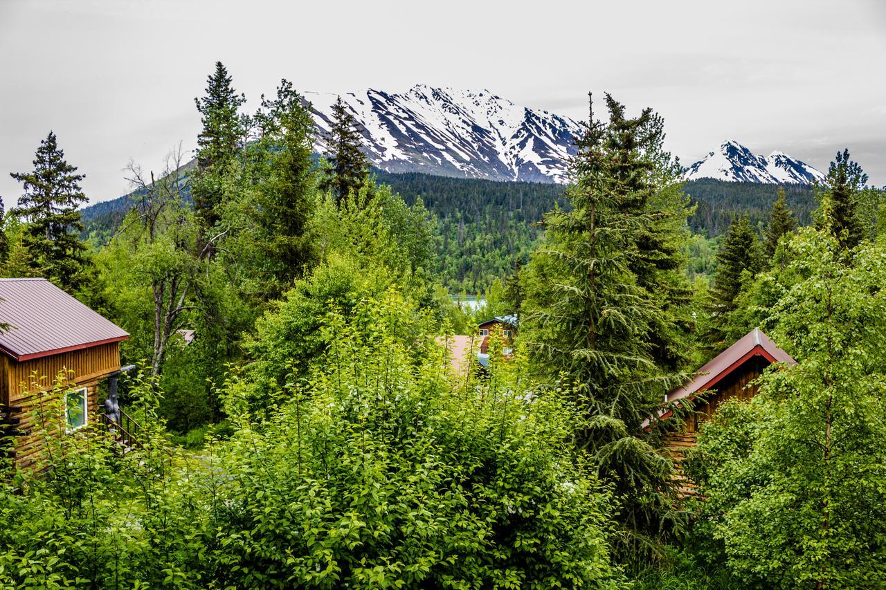 Midnight Sun Log Cabins Moose Pass Экстерьер фото